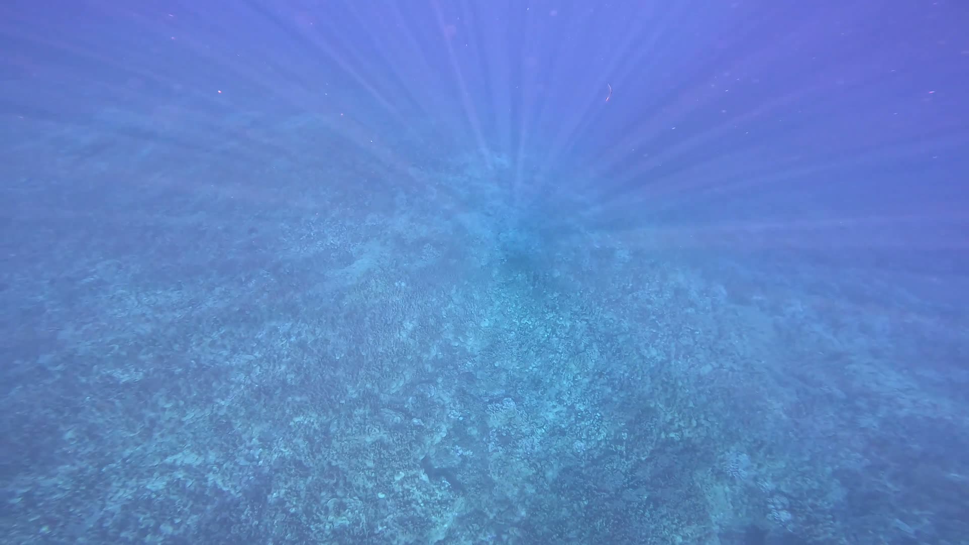 Sunlight streaming down through clear blue ocean water above a reef, seen from underwater